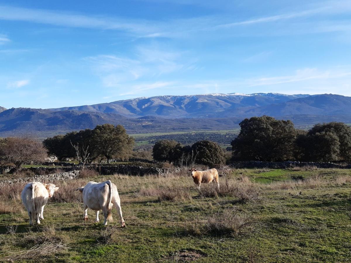 Casa Rural Mi Descanso Valdefuentes de Sangusín Exteriör bild